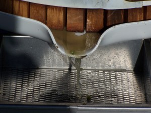 fresh albarino juice