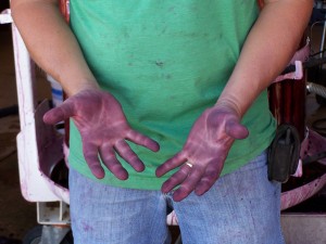 Stained Harvest Hands
