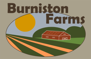 burniston logo