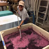 Concetta punches down