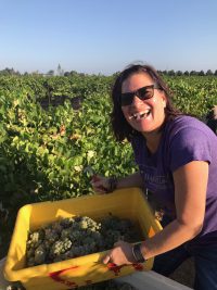 picking albarino at Harney Lane Winery