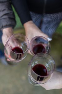 Cheers with Red Wine