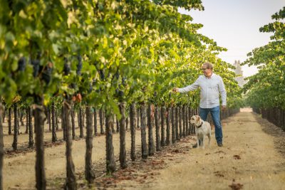 Kyle Lerner checks Vineyards with Charlie his trusty companion