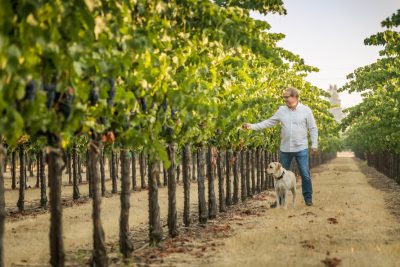 kyle lerner in harney lane vineyard