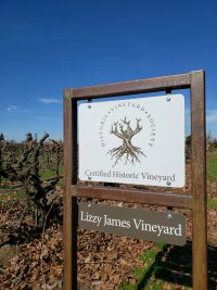Historic Vineyard Sign