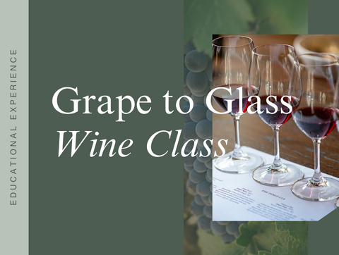 Grape to Glass Wine Class