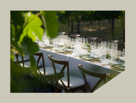 Wine Dinner: Grace Table in the Vineyard